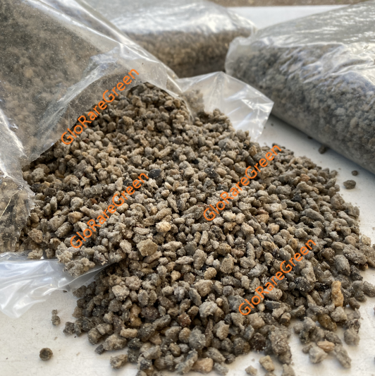 Premium Pumice (Porous volcanic rock) One Bag (5 lb Each)
