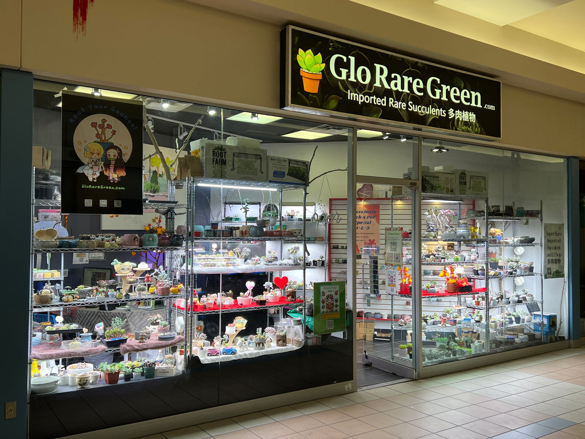 Markham Store