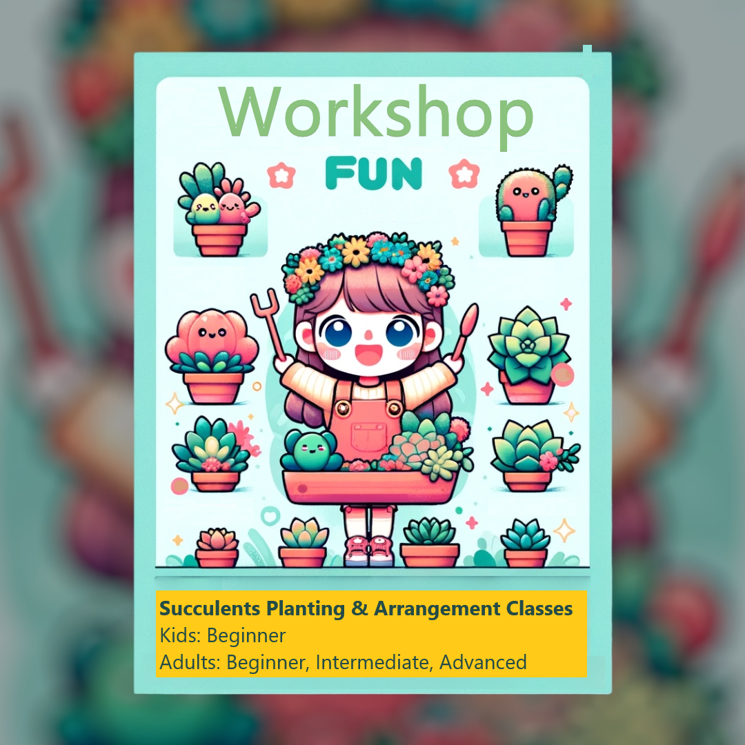 Workshop: Beginner Classes