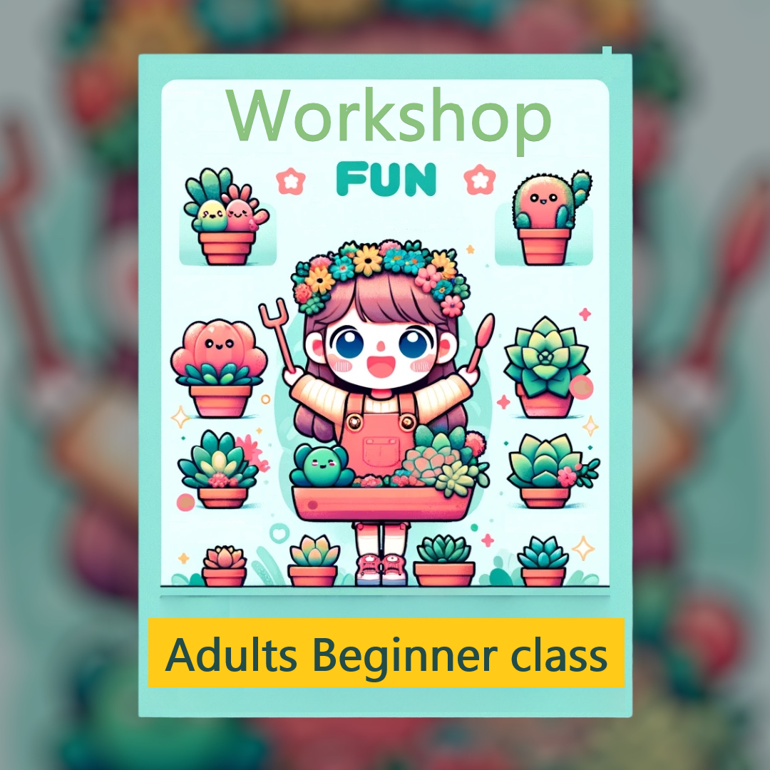 Workshop: Adults Beginner Classes